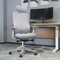 DM8 Ergonomic Office Desk Chair (White/Grey)
