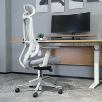 DM8 Ergonomic Office Desk Chair (White/Grey)