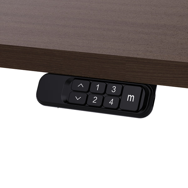 ErgoDesk Dual Motor Electric Standing Desk 160cm (Walnut/Black)