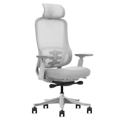 DM8 Ergonomic Office Desk Chair (White/Grey)