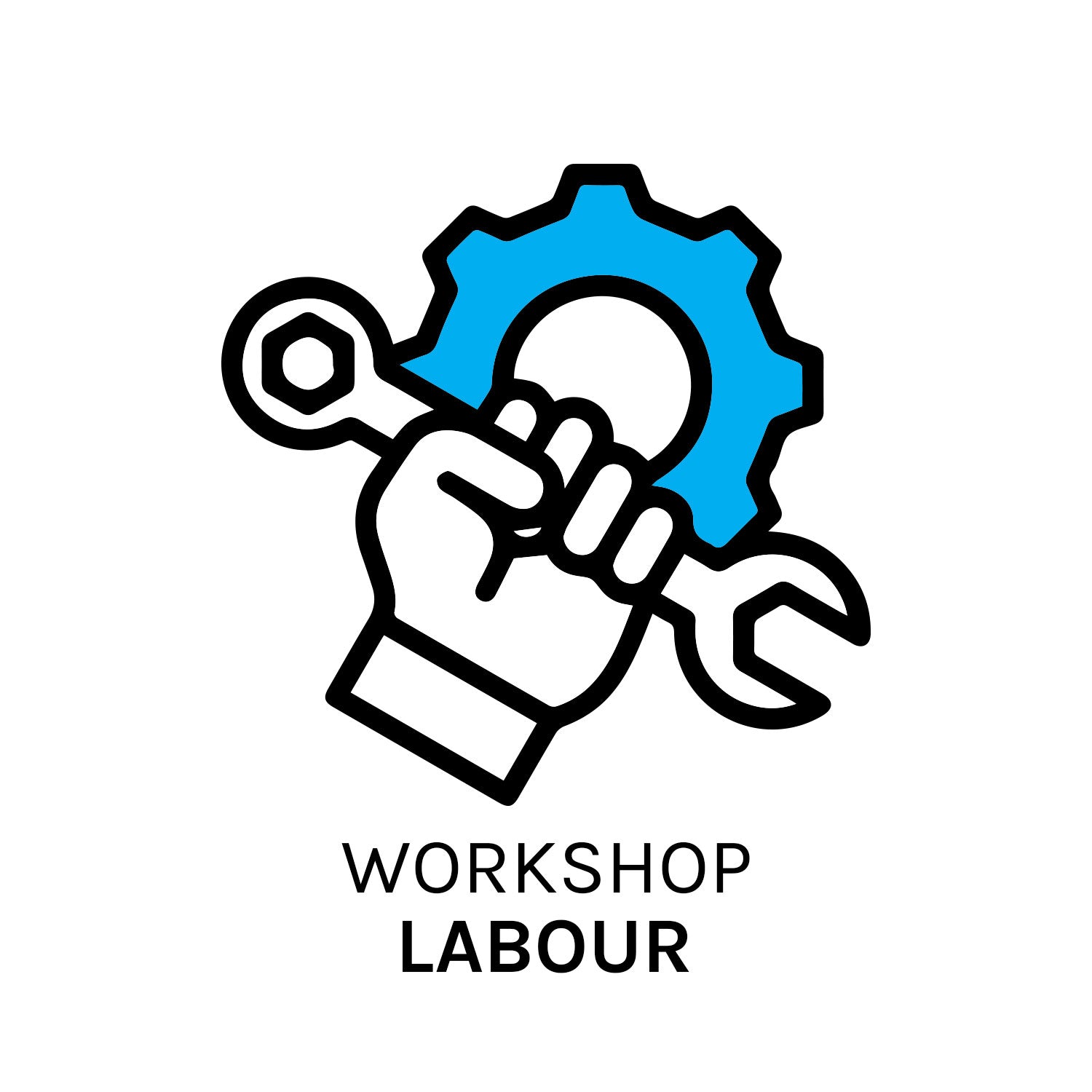 Workshop Labour (60 min)